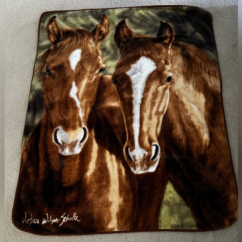 The Northwest Company | Horse Blanket